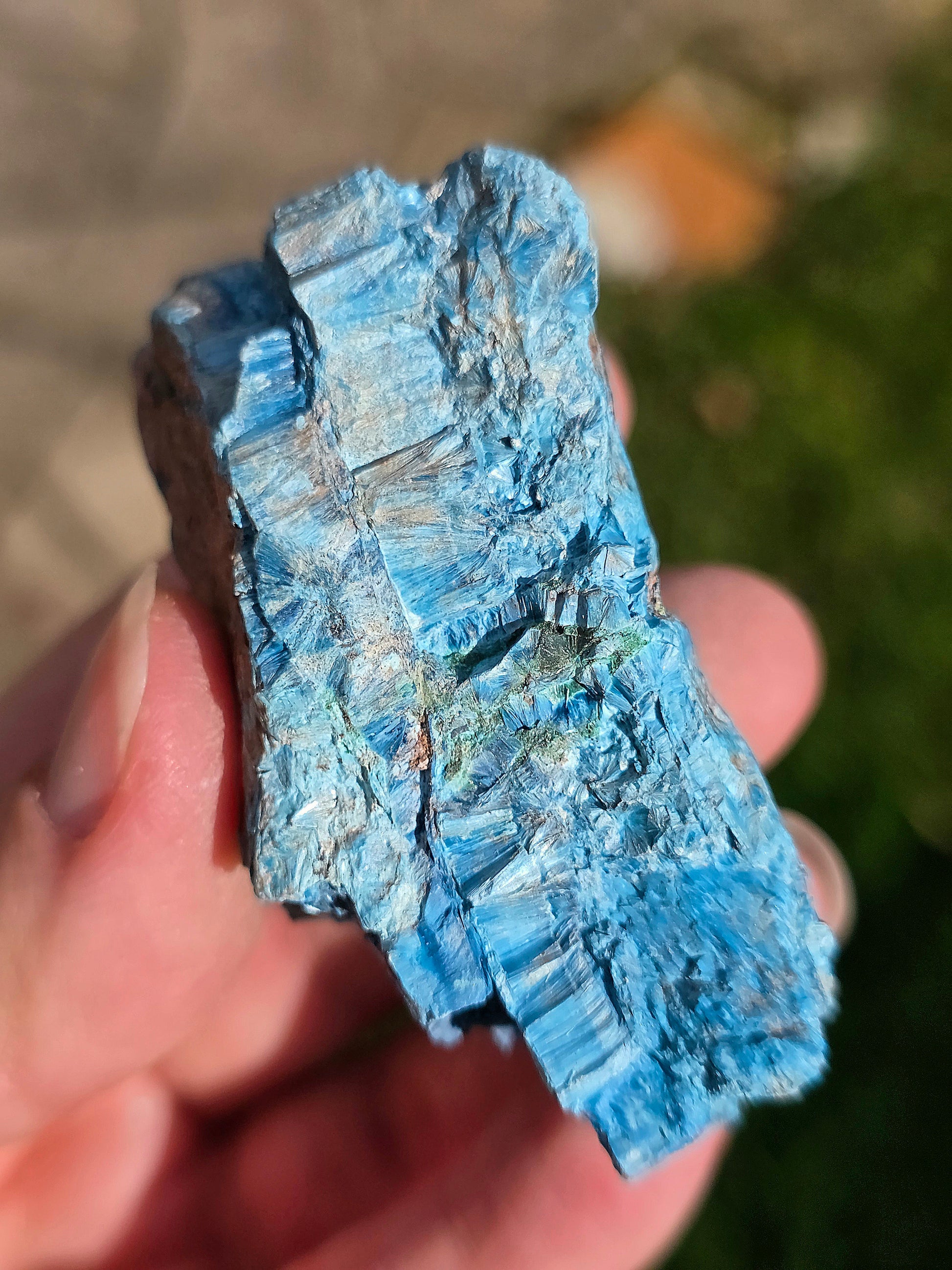 Shattuckite fibreuse brute Congo