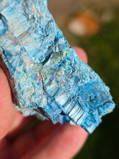 Shattuckite fibreuse du Congo n°6
