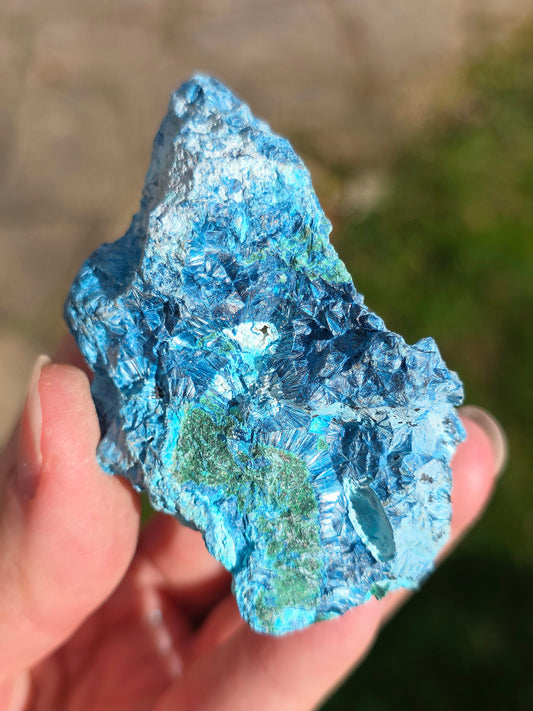 Shattuckite fibreuse du Congo avec Malachite