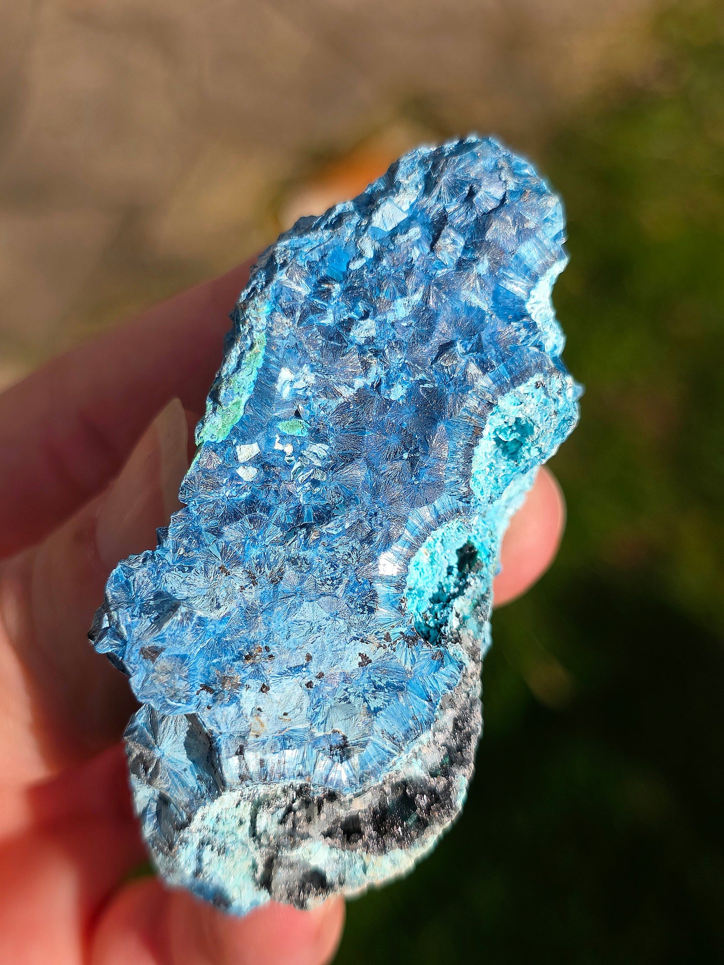 Shattuckite fibreuse du Congo brute