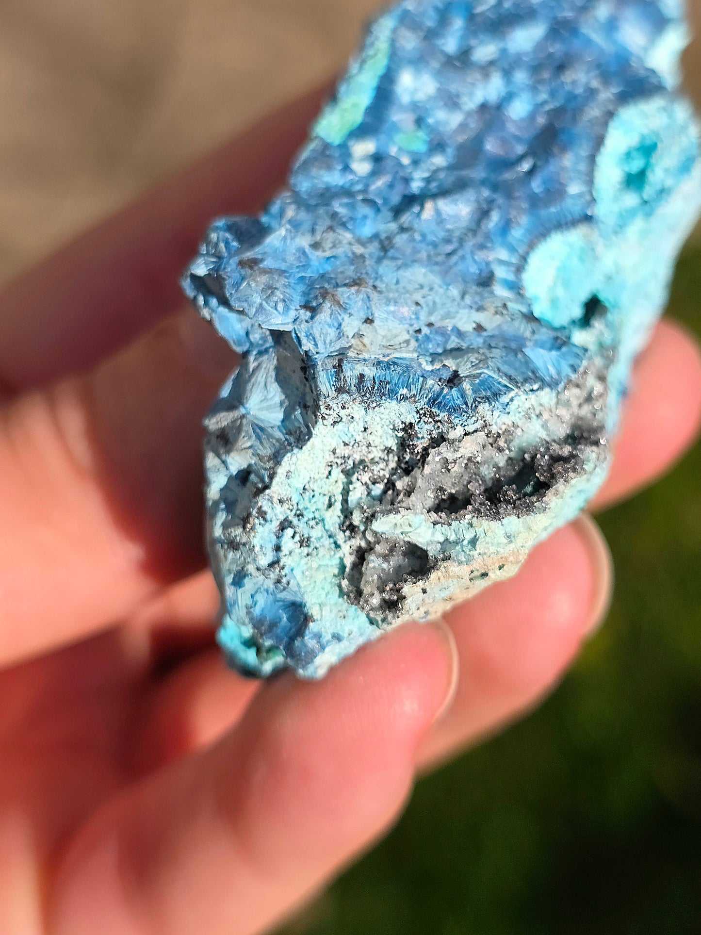Shattuckite fibreuse du Congo n°7