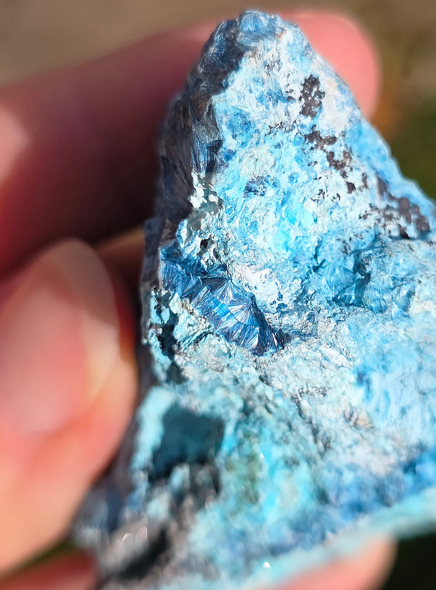 Shattuckite fibreuse du Congo n°7