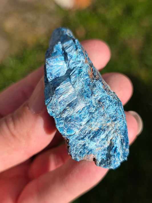 Shattuckite fibreuse du Congo