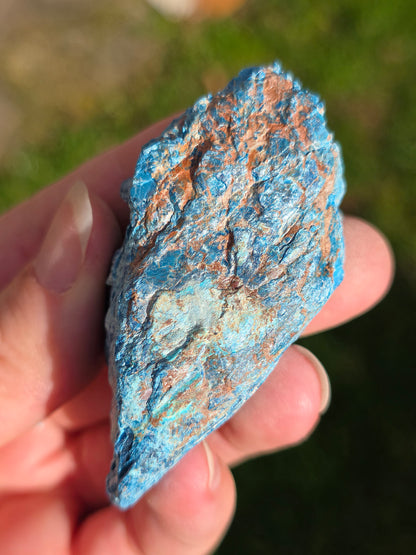 Shattuckite fibreuse du Congo n°8