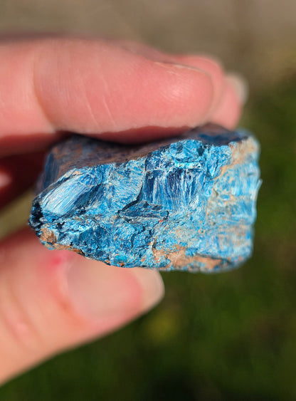 Shattuckite fibreuse du Congo n°8