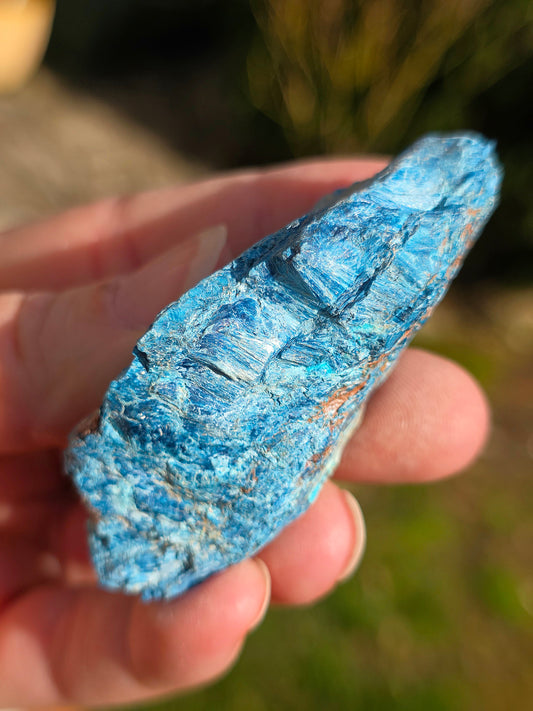 Shattuckite fibreuse du Congo