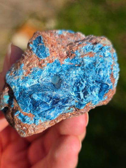 Shattuckite fibreuse du Congo brute