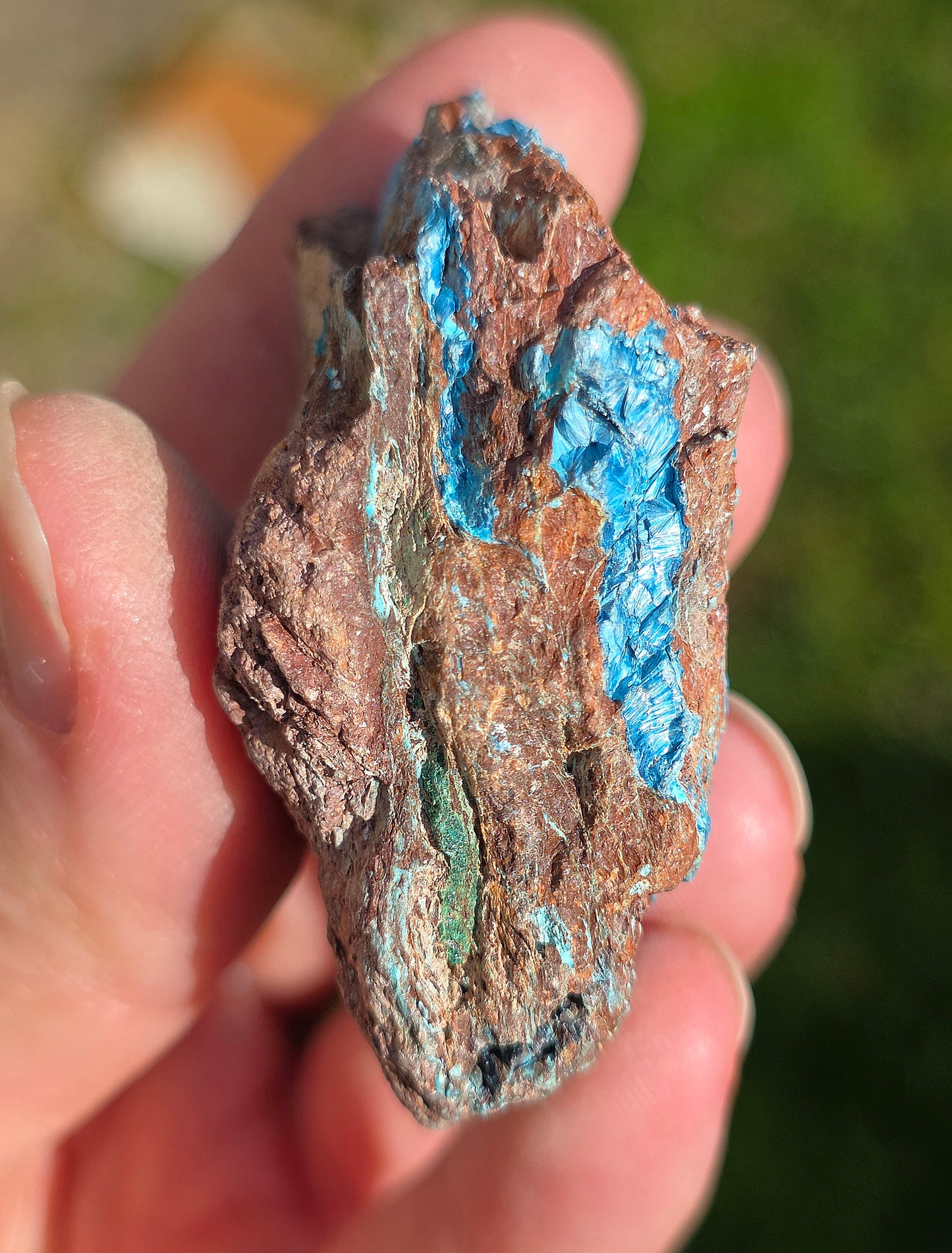 Shattuckite fibreuse du Congo n°11