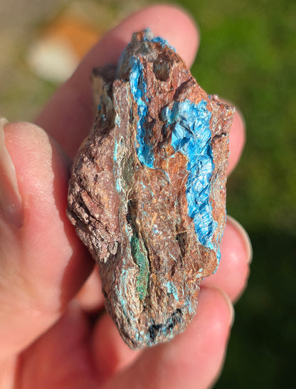 Shattuckite fibreuse du Congo n°11