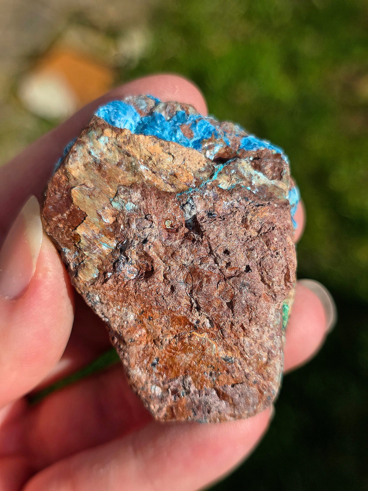 Shattuckite fibreuse du Congo n°11