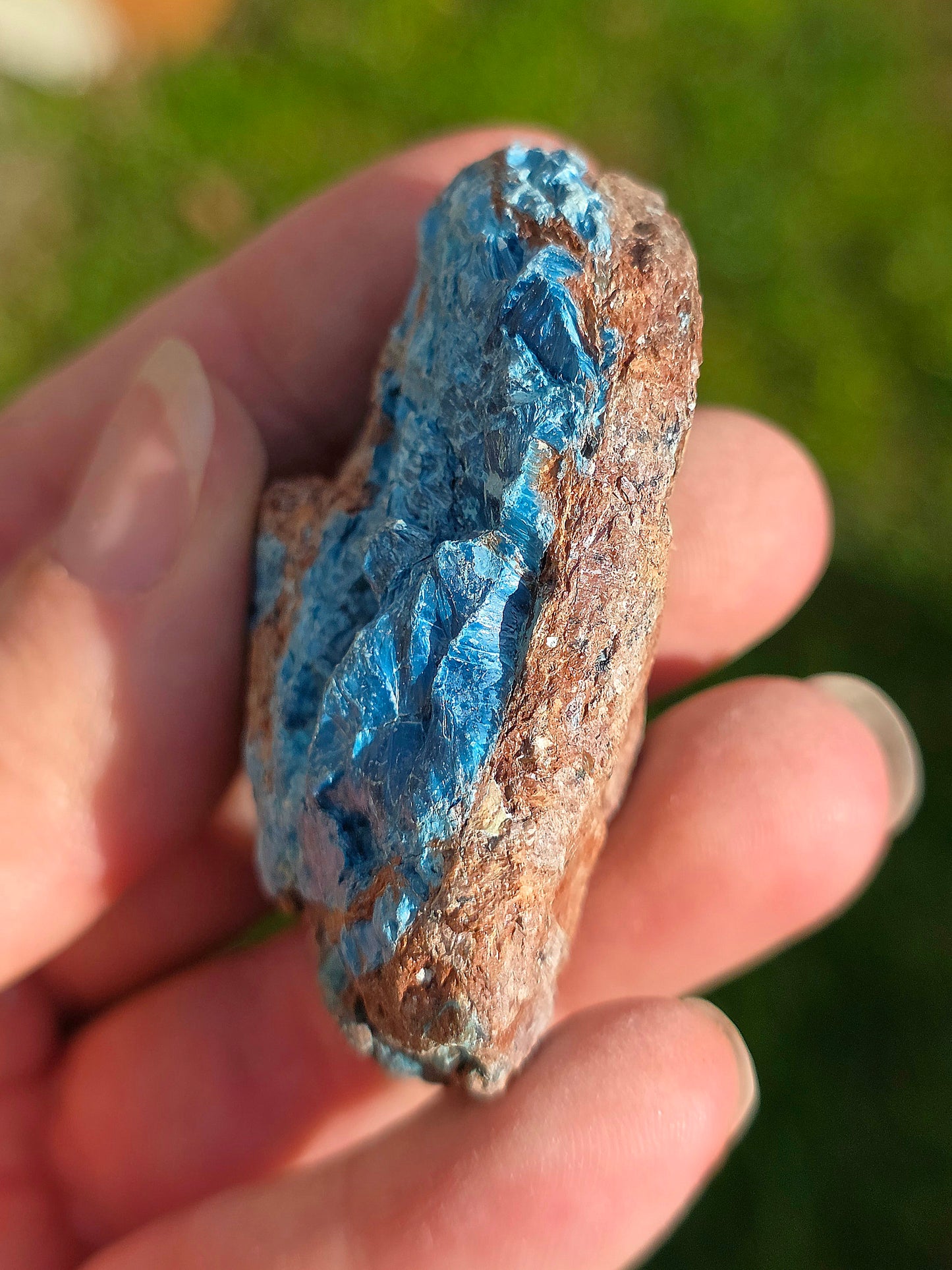 Shattuckite fibreuse du Congo n°11