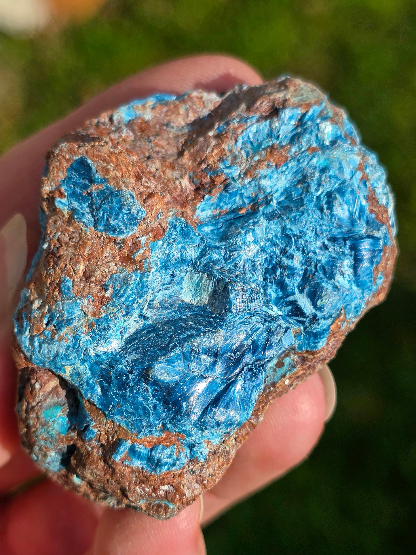 Superbe Shattuckite fibreuse du Congo brute