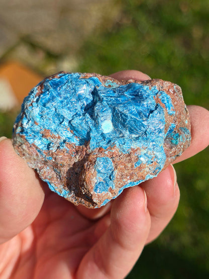 Shattuckite fibreuse du Congo n°11