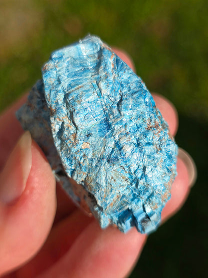 Shattuckite fibreuse du Congo