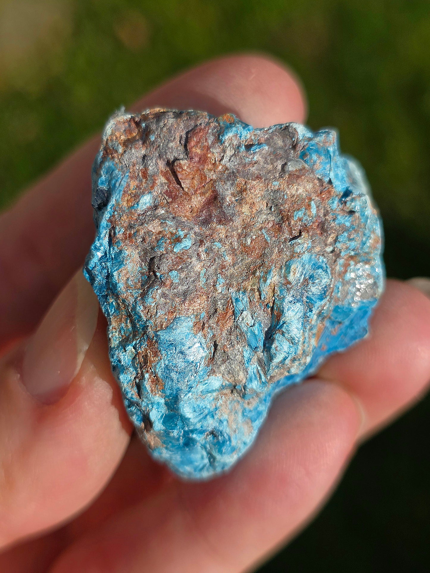 Shattuckite fibreuse du Congo n°12