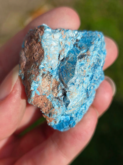 Shattuckite fibreuse du Congo