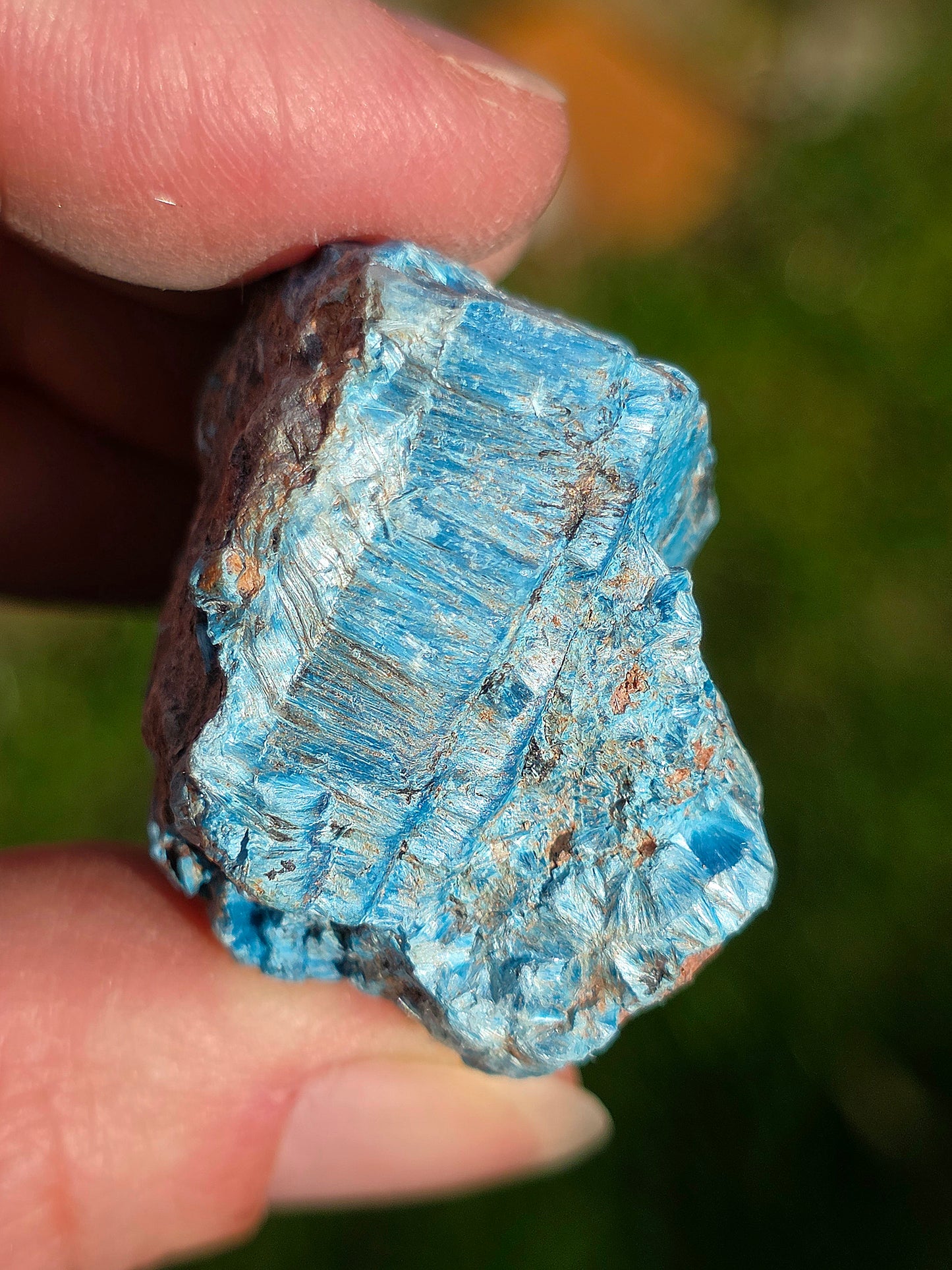Shattuckite fibreuse du Congo n°12