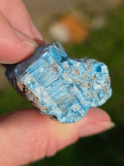 Shattuckite fibreuse du Congo n°12