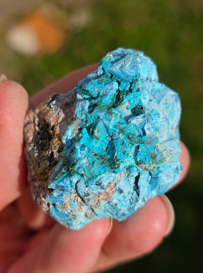 Shattuckite fibreuse du Congo n°13