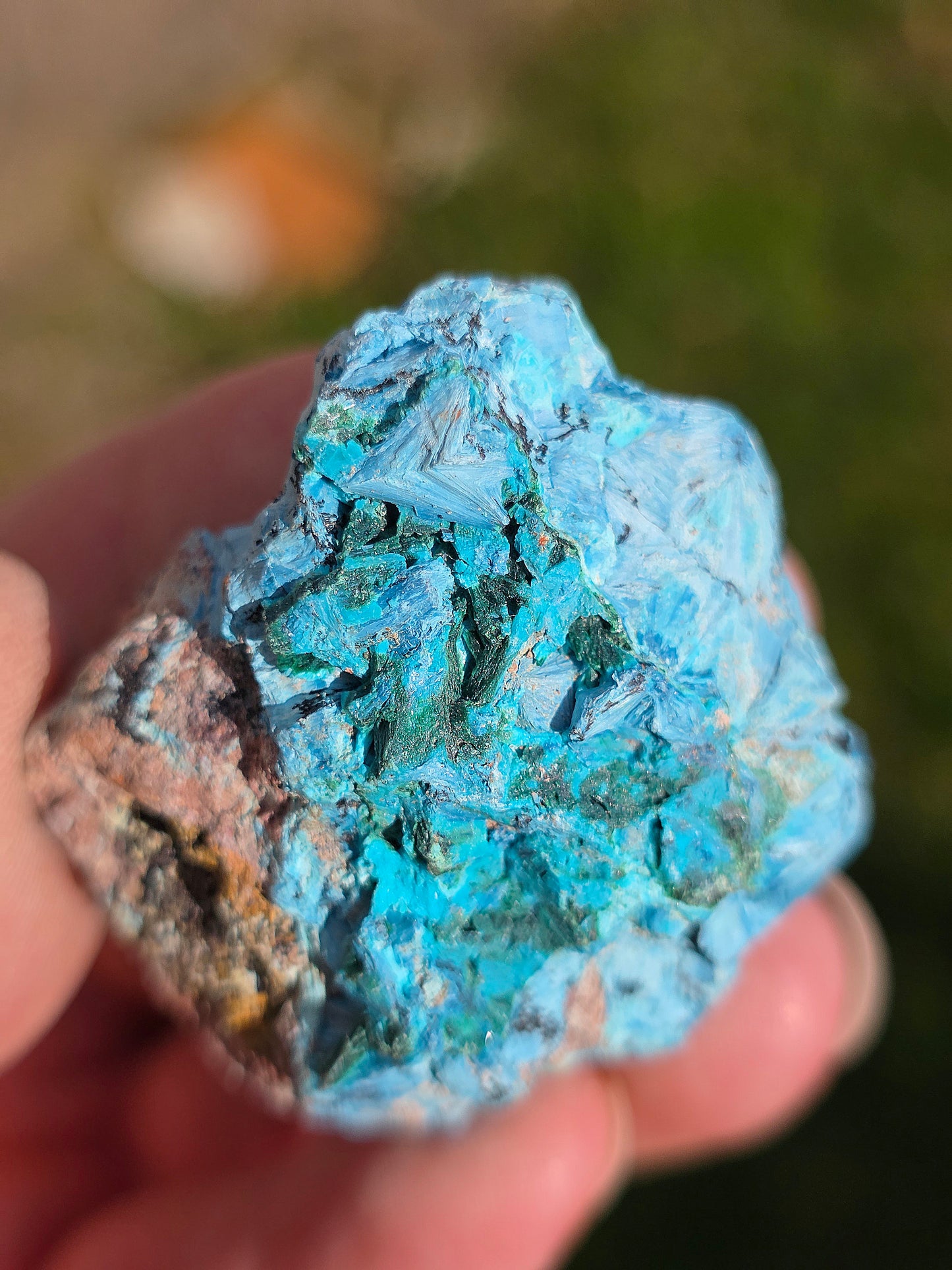 Shattuckite fibreuse du Congo n°13