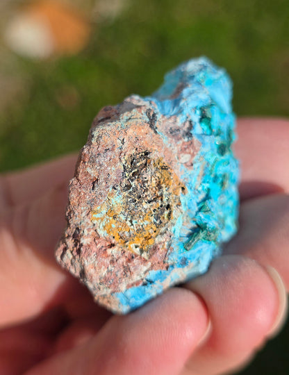 Shattuckite fibreuse du Congo n°13