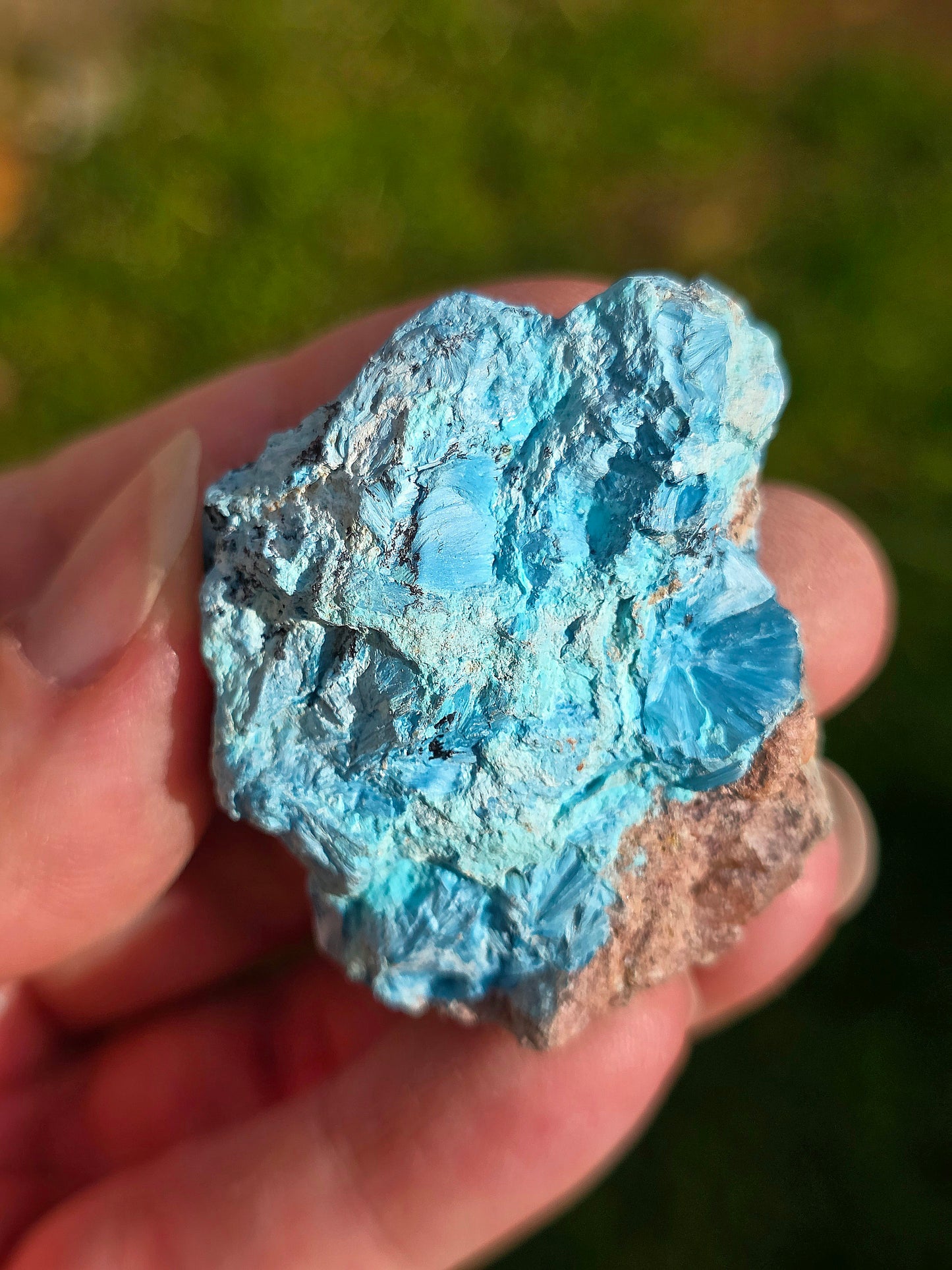 Shattuckite fibreuse du Congo n°13