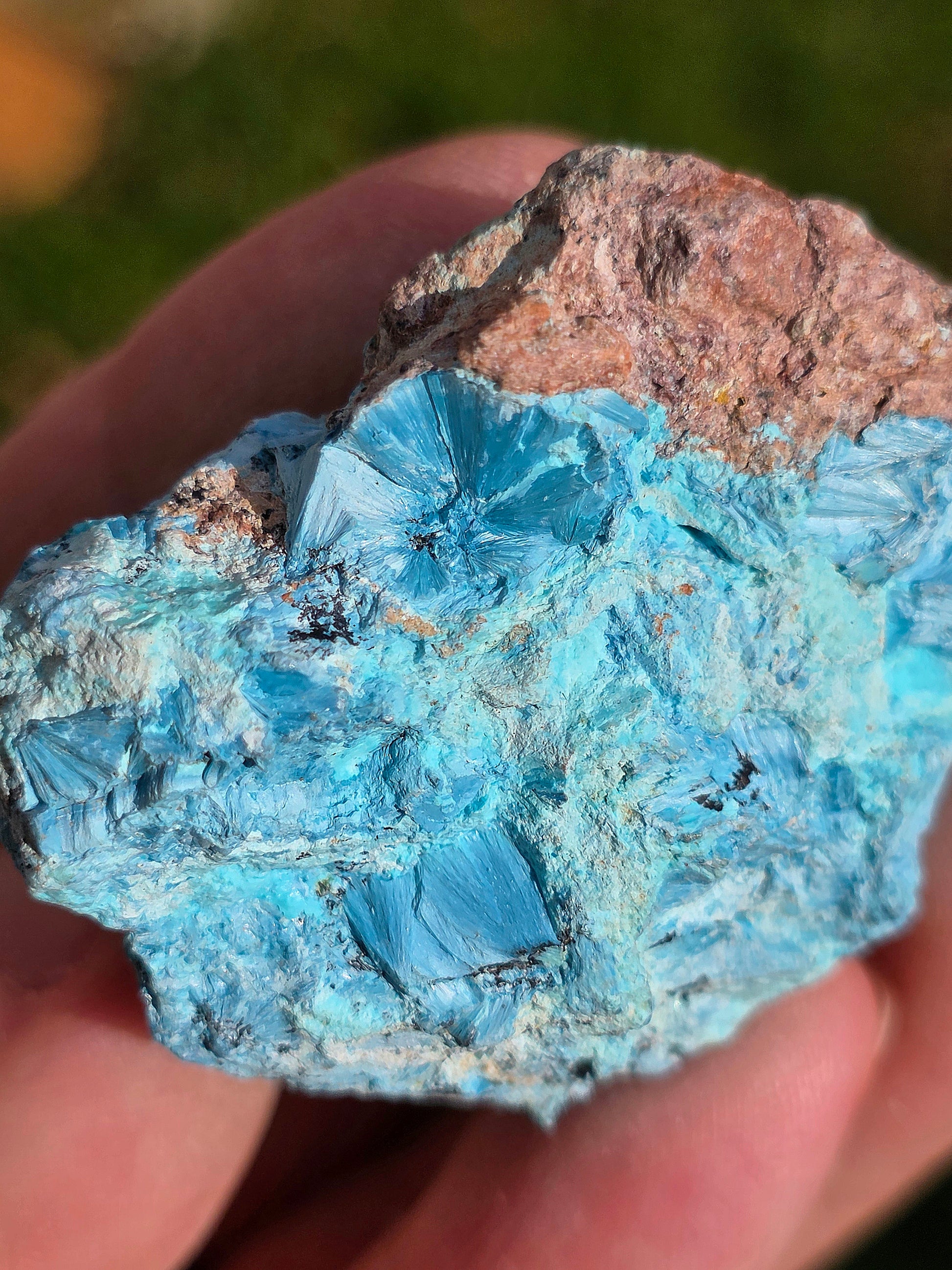 Shattuckite du Congo brute