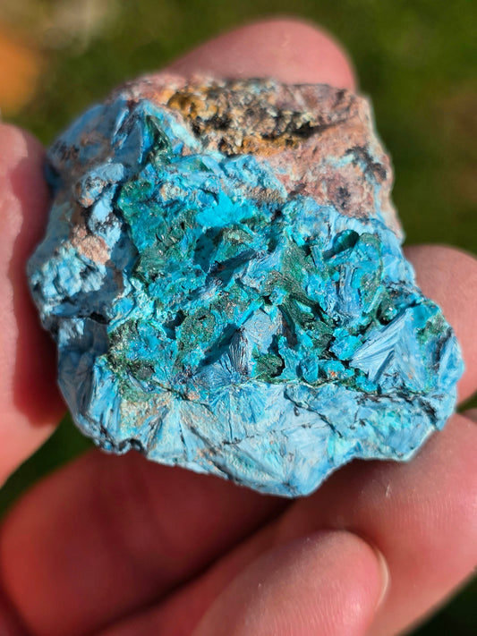 Shattuckite fibreuse et Malachite du Congo