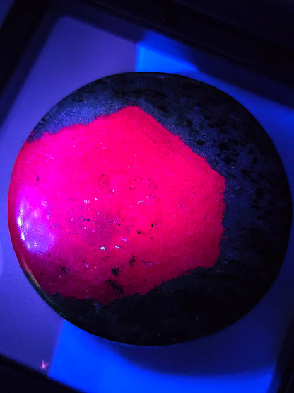 Zoïsite à Rubis de Tanzanie pièce d'exception réactive UV