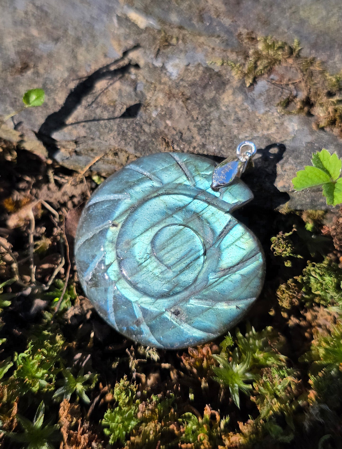 pendentif en Labradorite sculptée en forme d'Ammonite