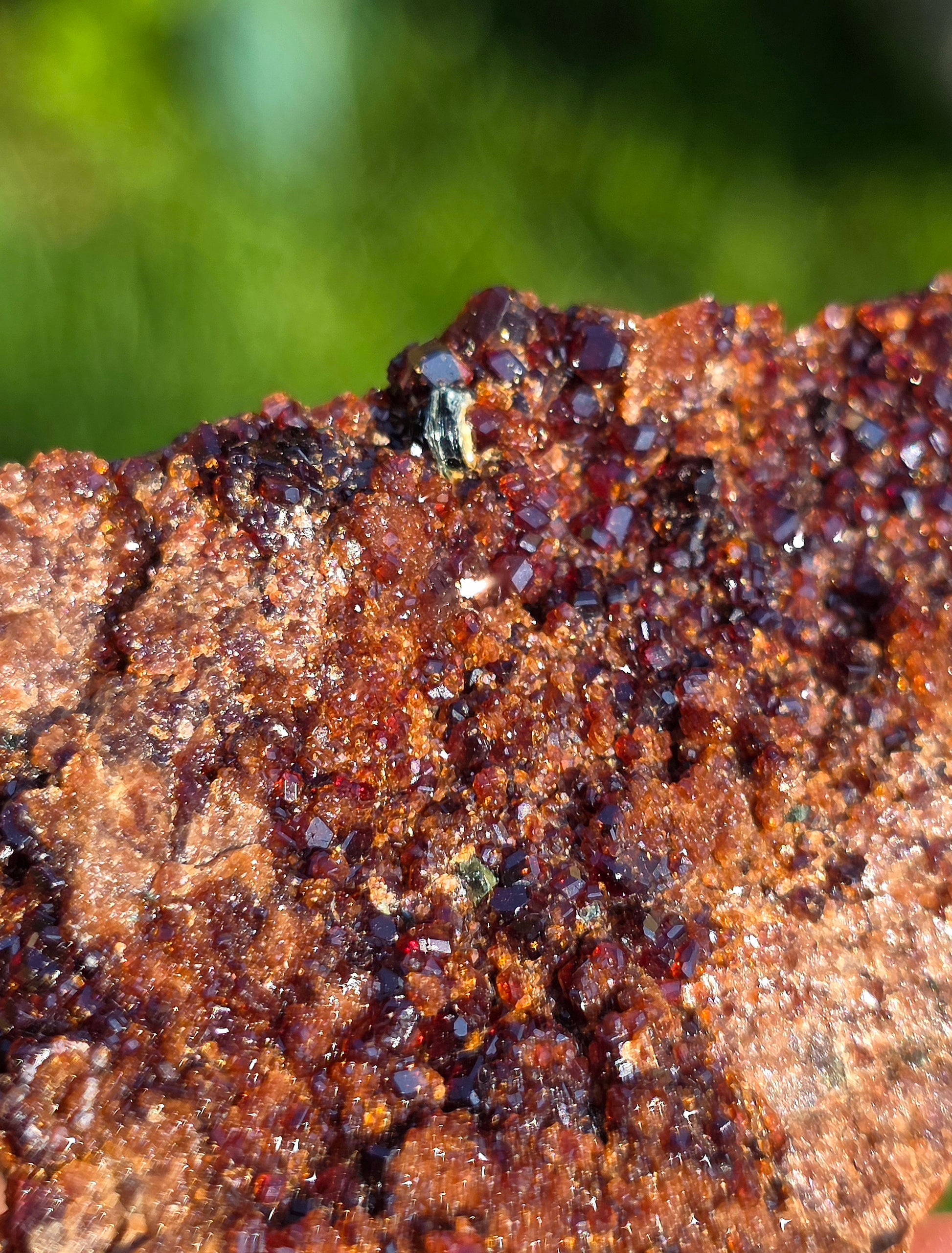  Grenat Hessonite brut Italie avec Pyrite