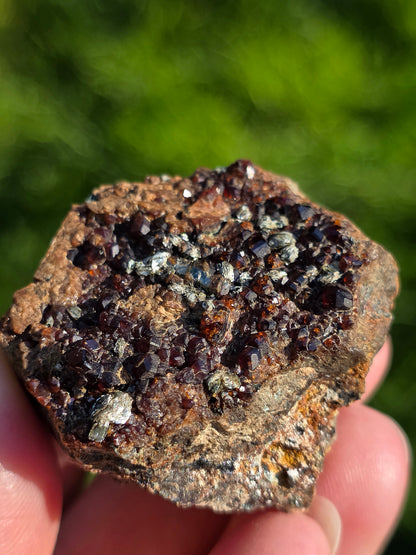Grenat Hessonite d'Italie avec inclusions de Pyrite et de Clinochlore.