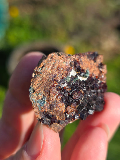 Grenat Hessonite en provenance d'Italie avec inclusions de Pyrite et de Clinochlore.