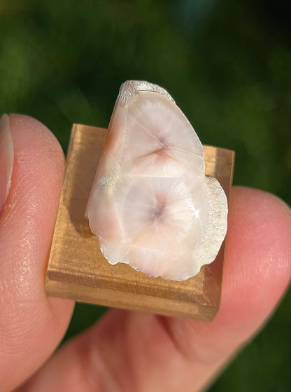 Natrolite d'Indonésie sur socle