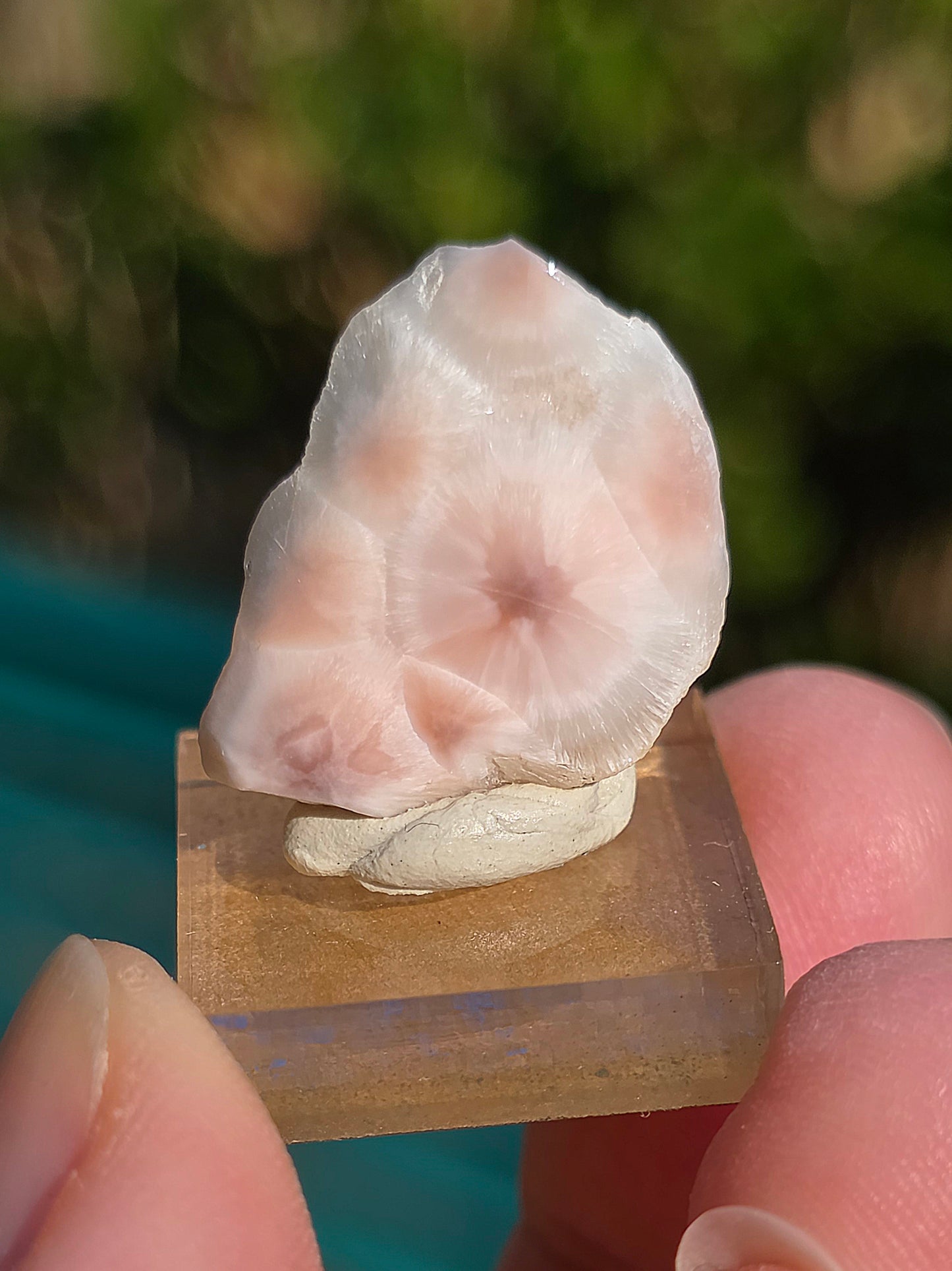 Natrolite d'Indonésie sur socle