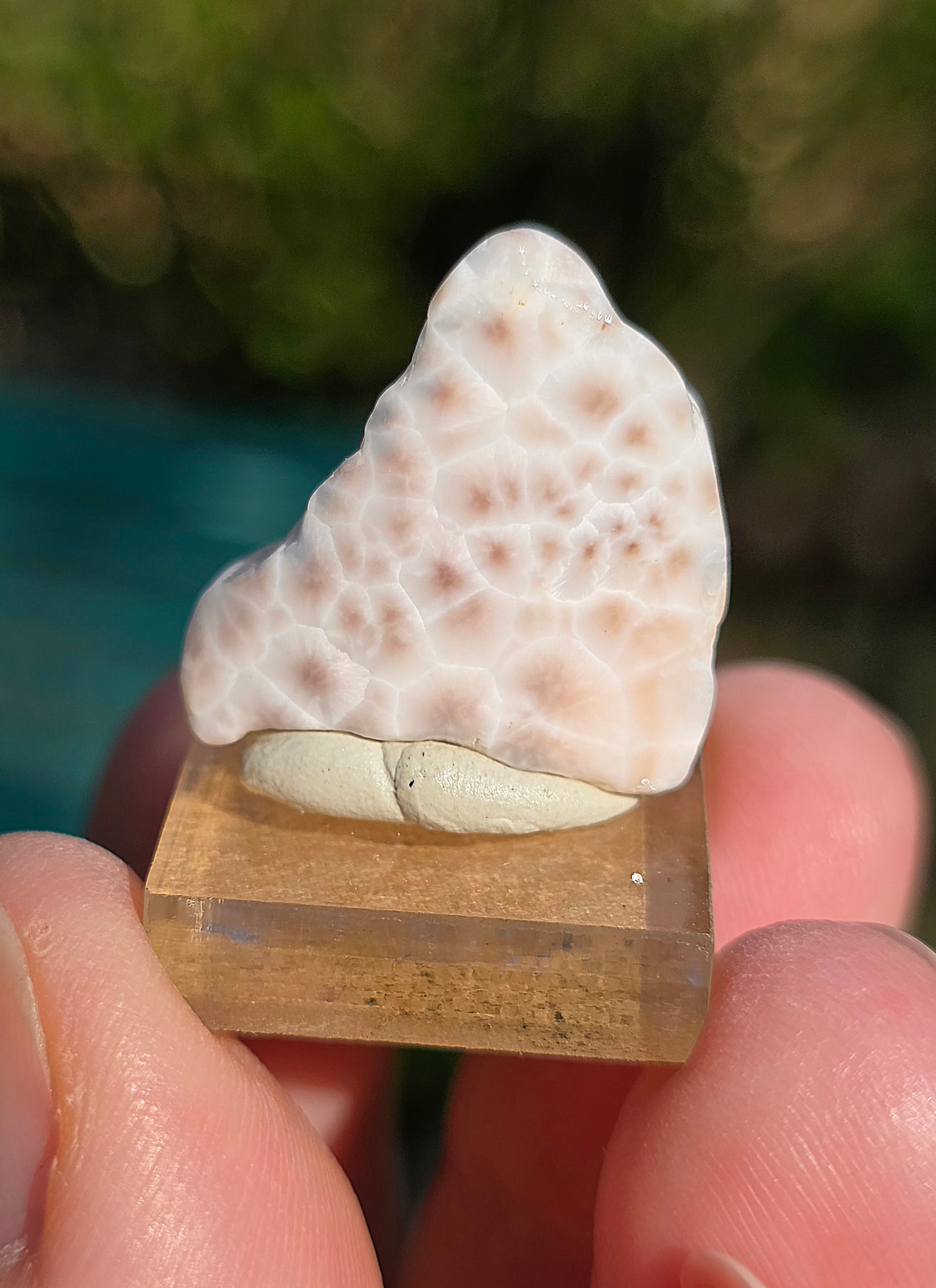 Natrolite d'Indonésie sur socle