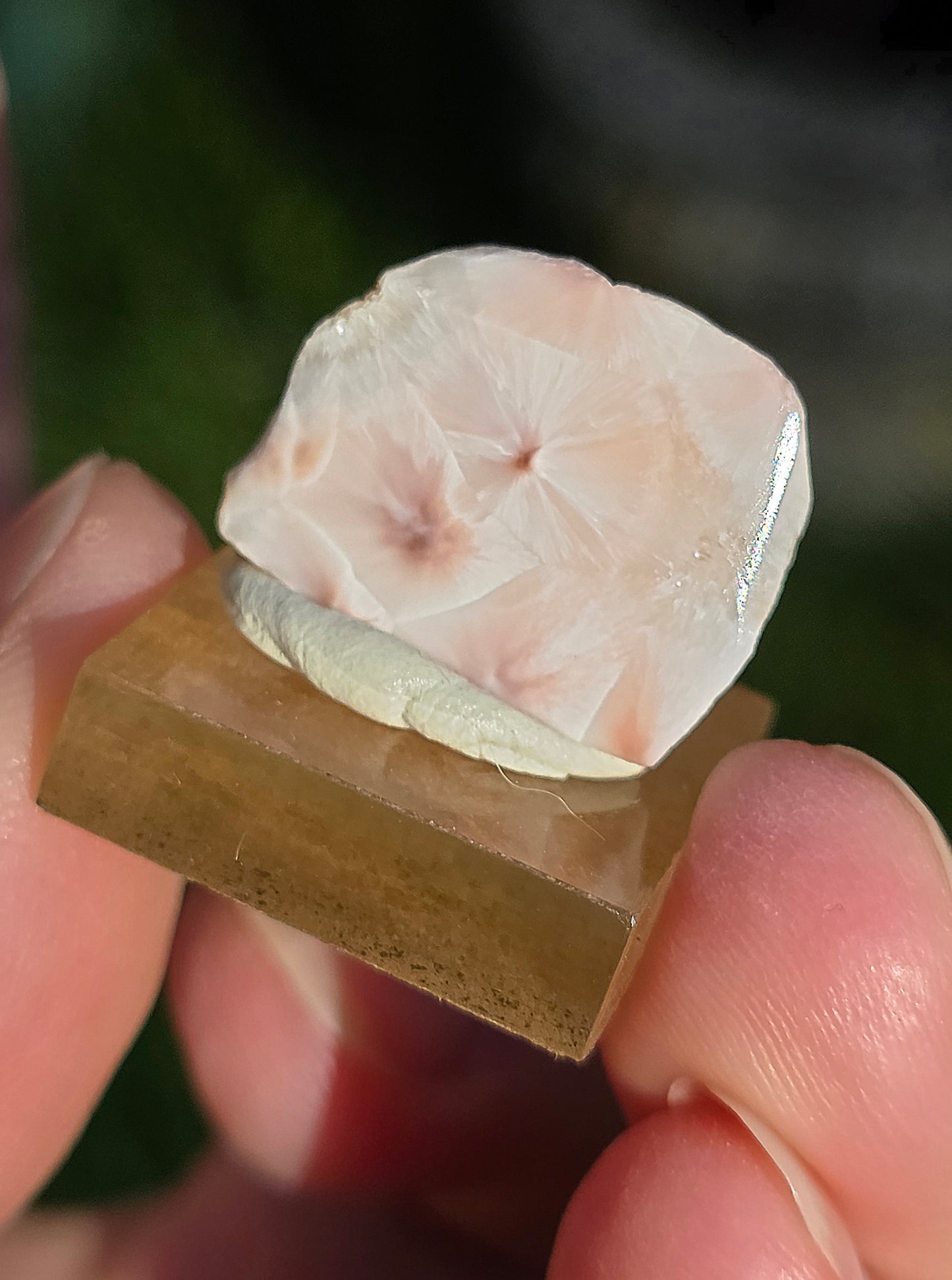 Natrolite d'Indonésie sur socle