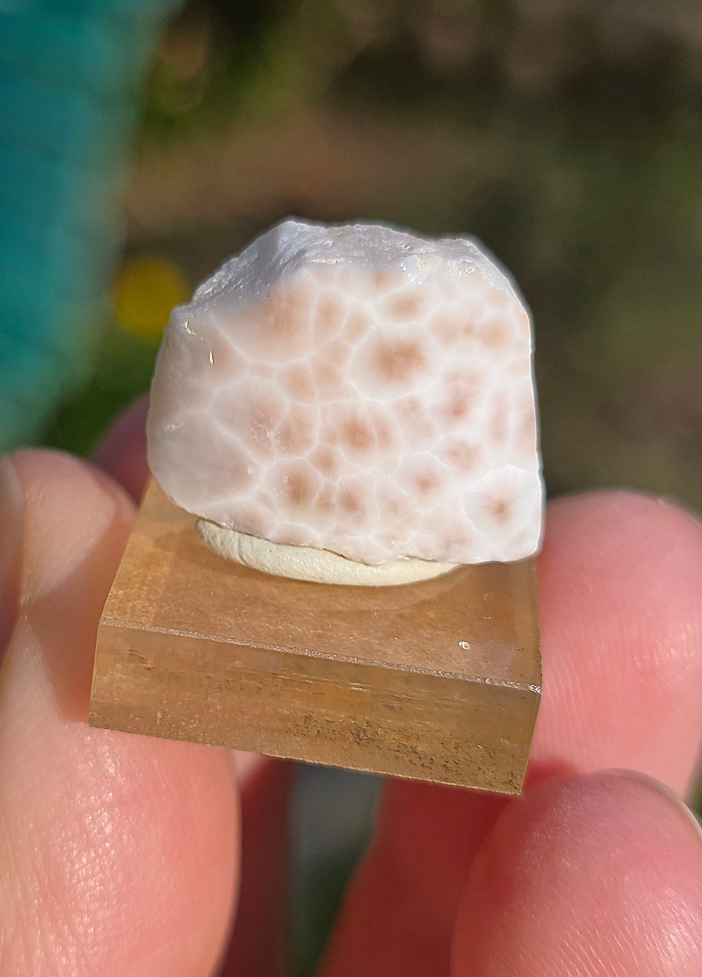 Natrolite d'Indonésie sur socle