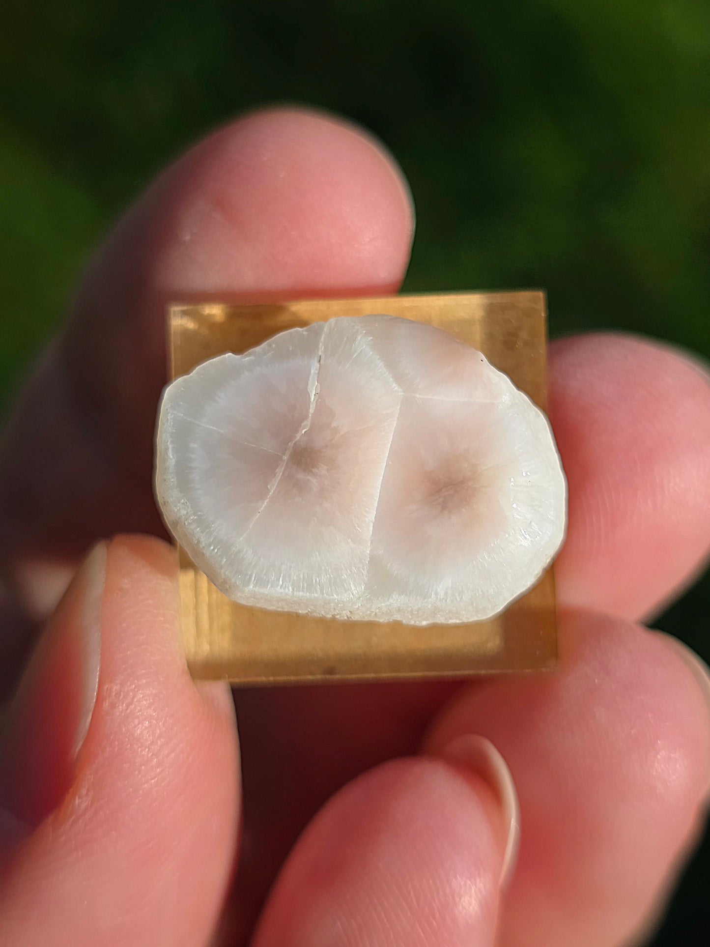 Natrolite d'Indonésie sur socle