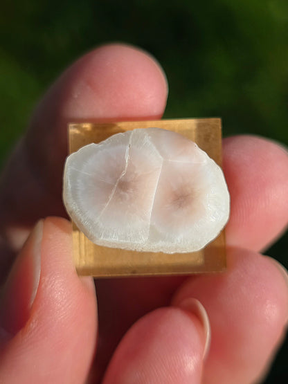 Natrolite d'Indonésie sur socle