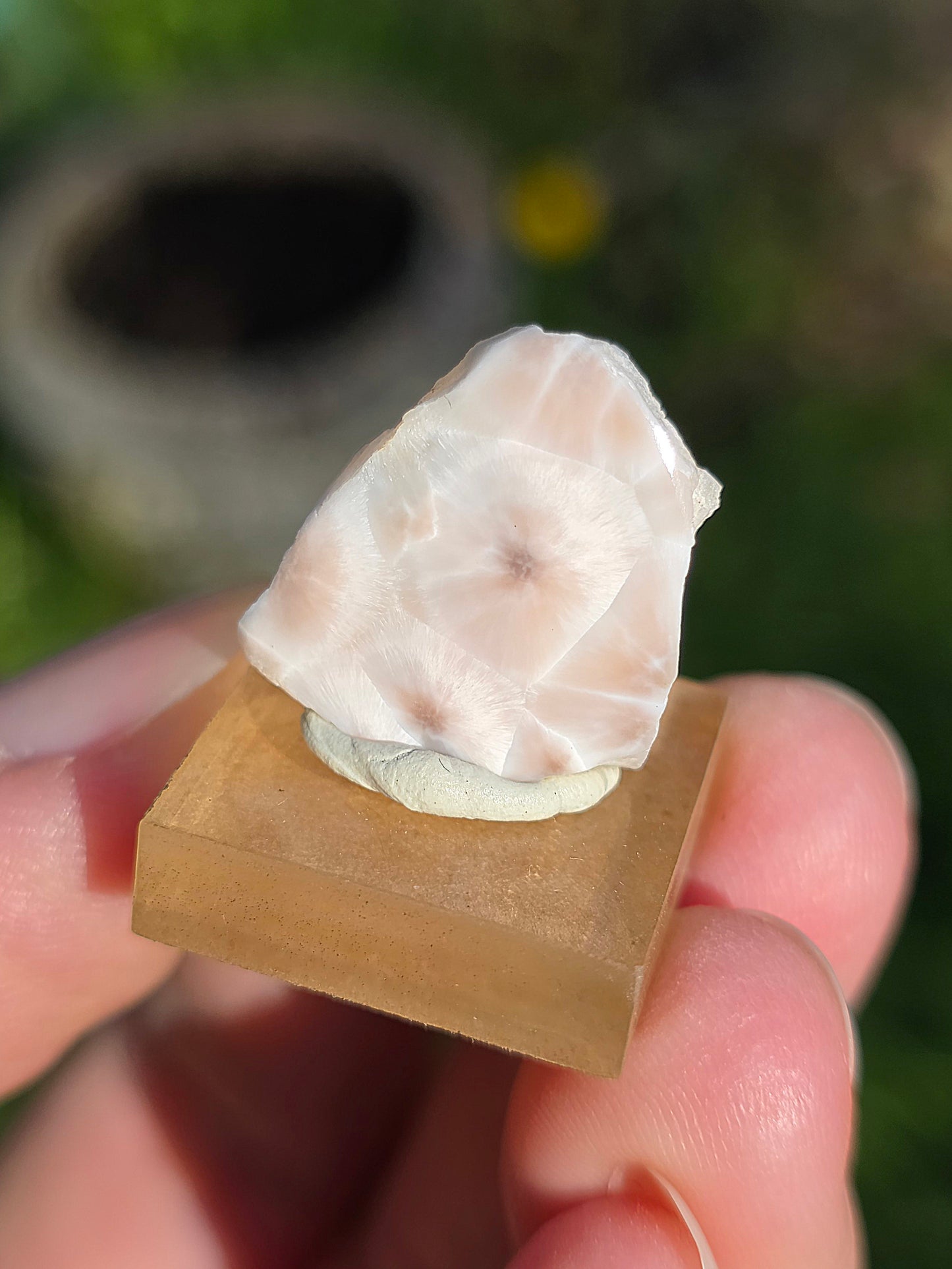 Natrolite d'Indonésie sur socle