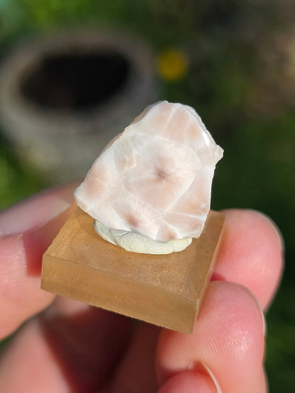 Natrolite d'Indonésie sur socle