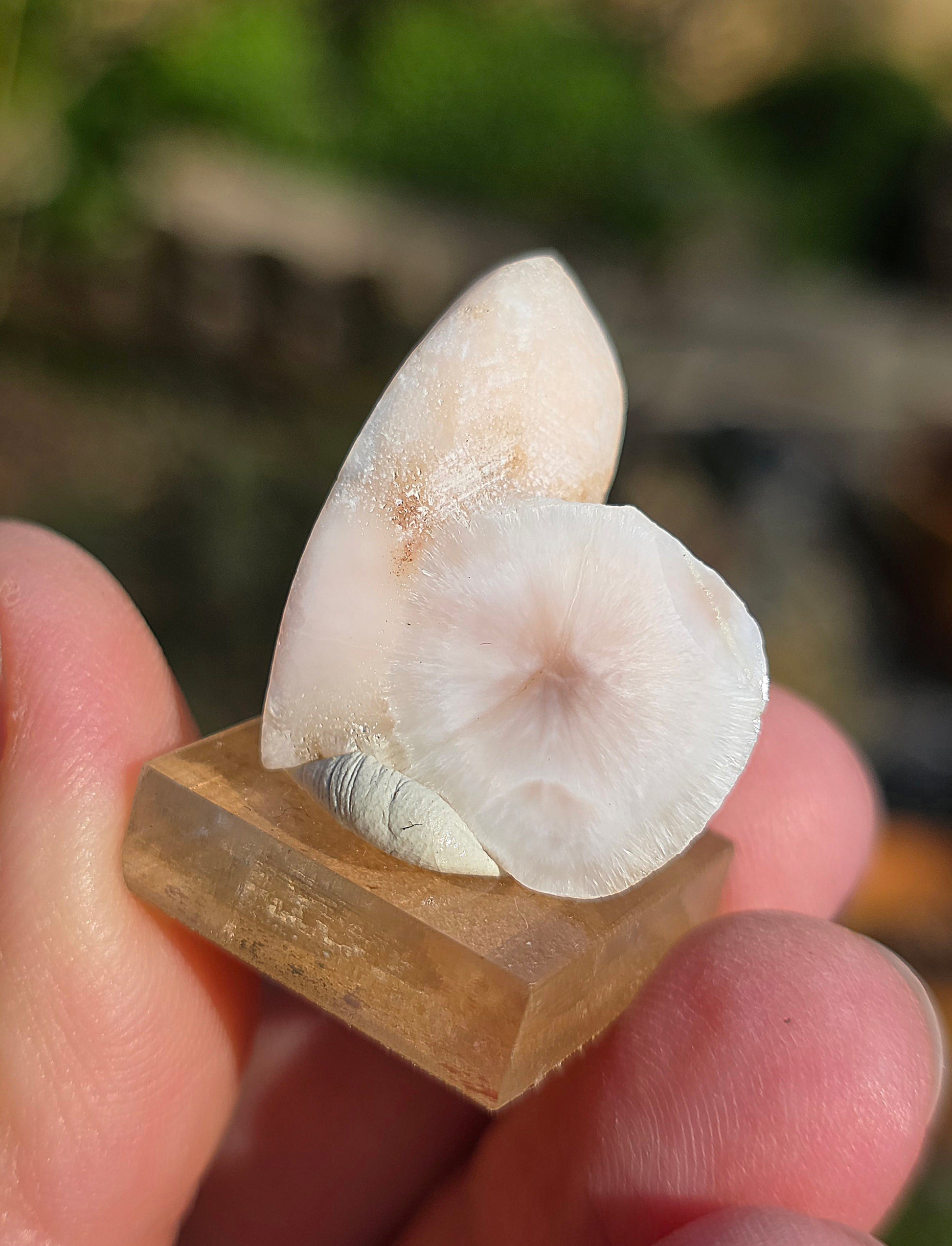 Natrolite double d'Indonésie sur socle