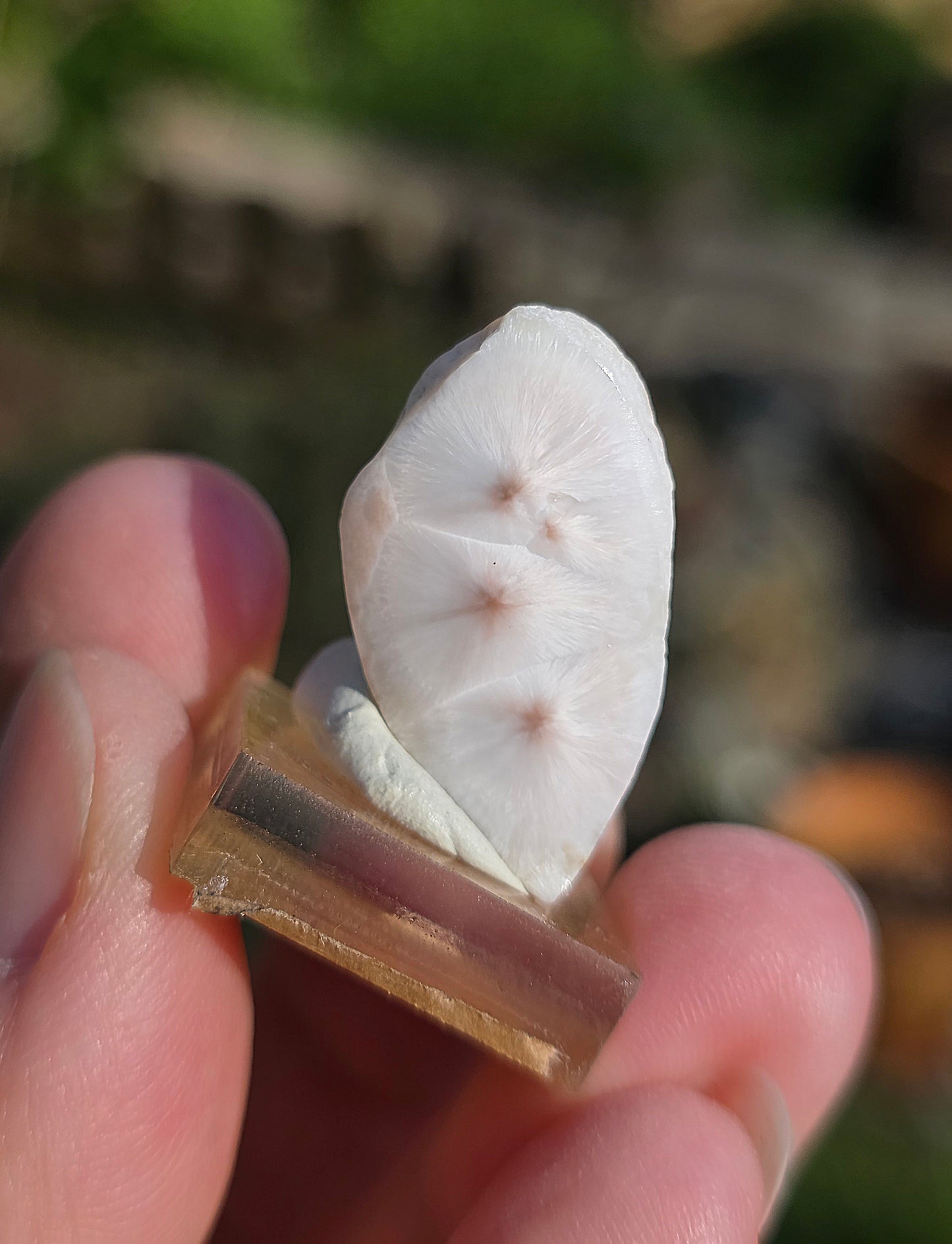 Natrolite double d'Indonésie sur socle