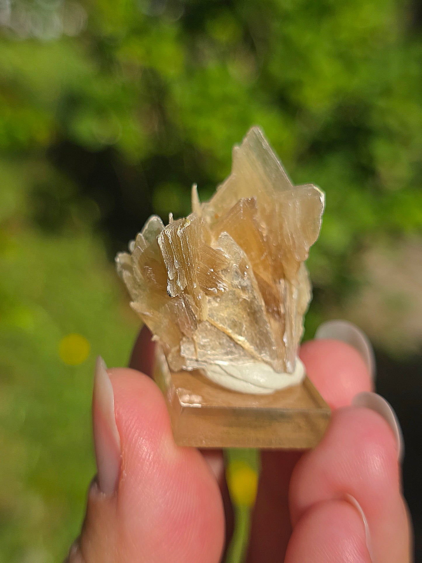 Mica étoilé du Brésil