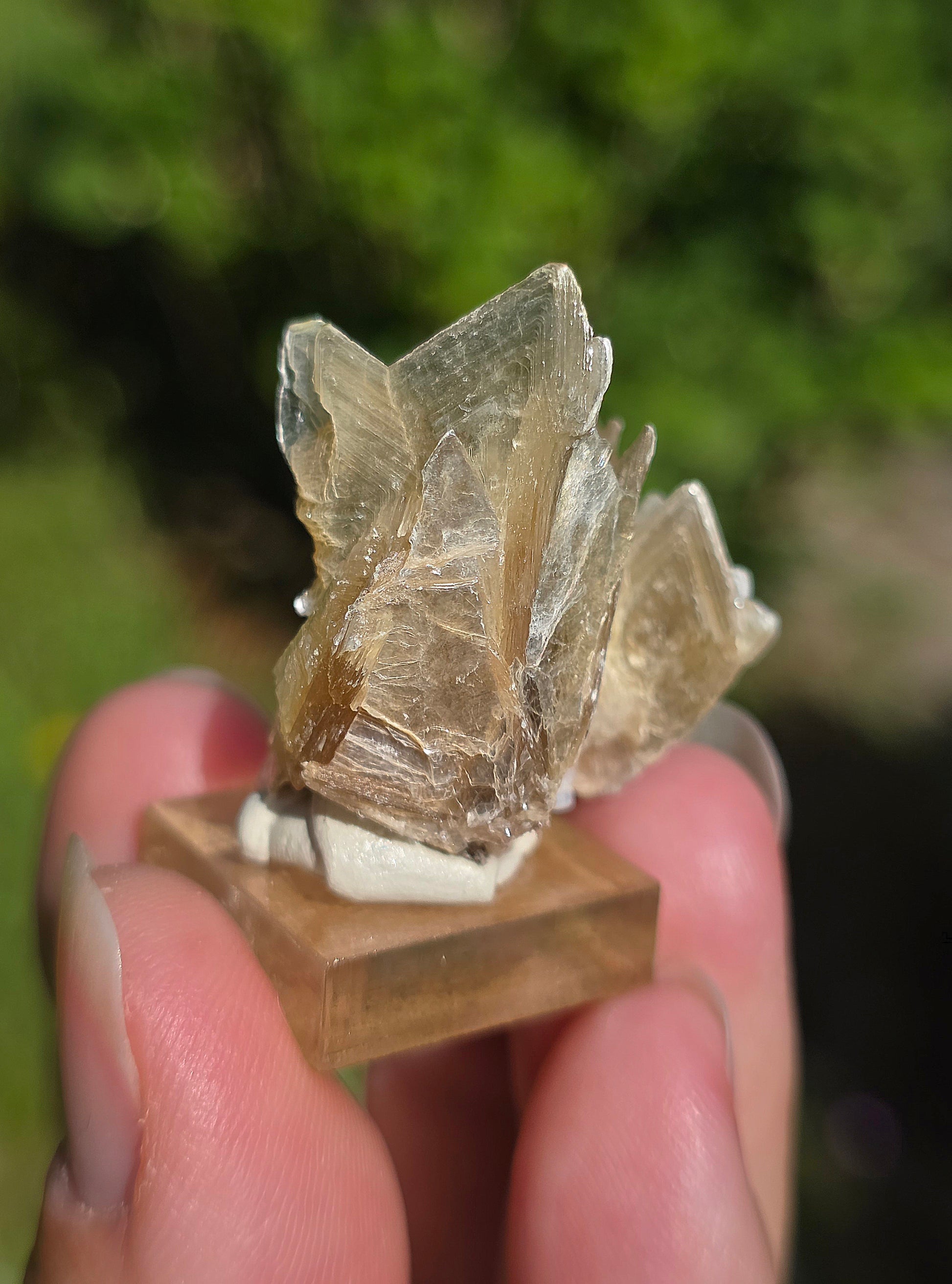 Mica étoilé du Brésil