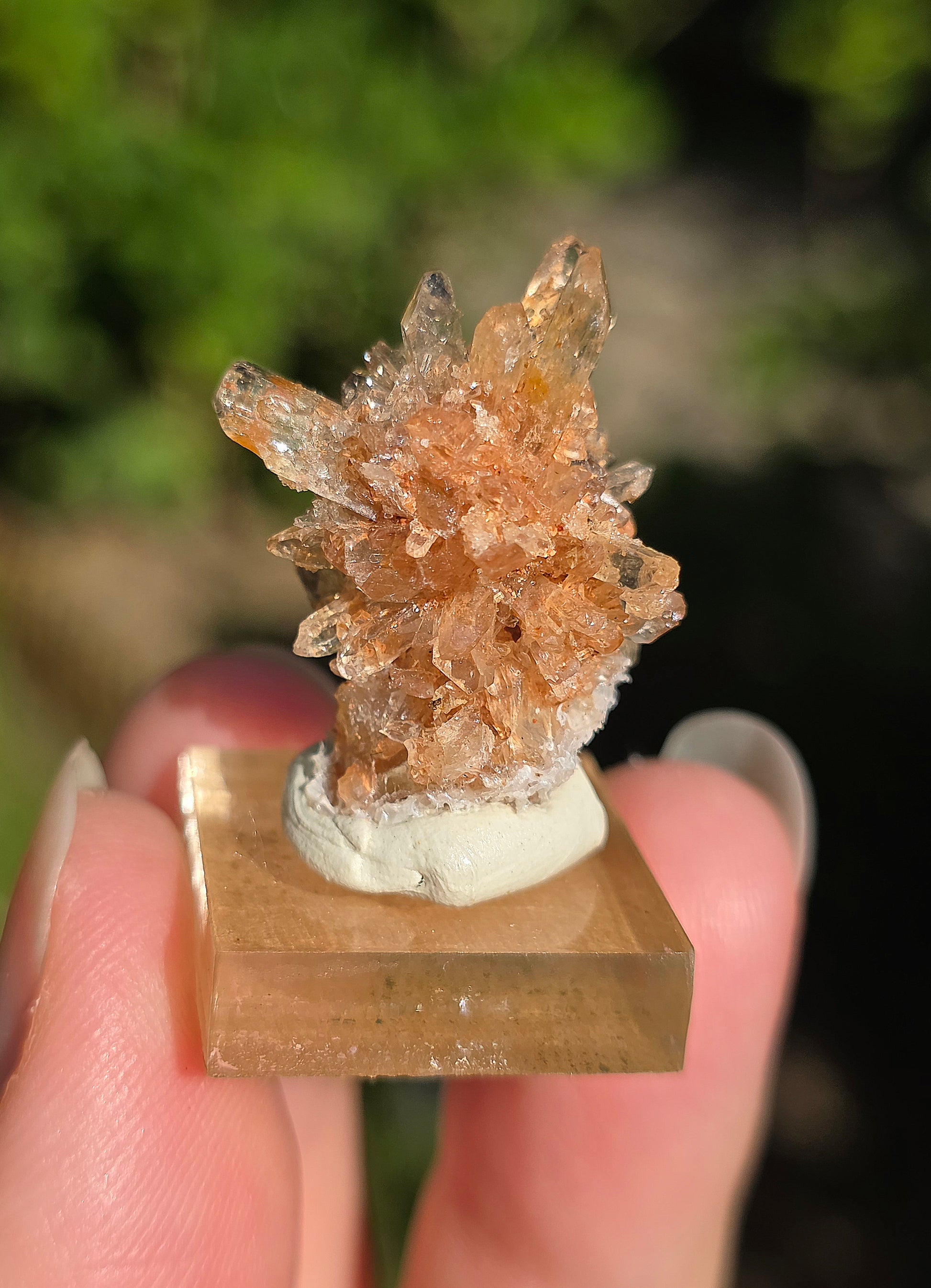 Creedite du Mexique