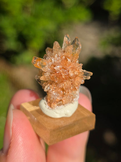 Creedite du Mexique