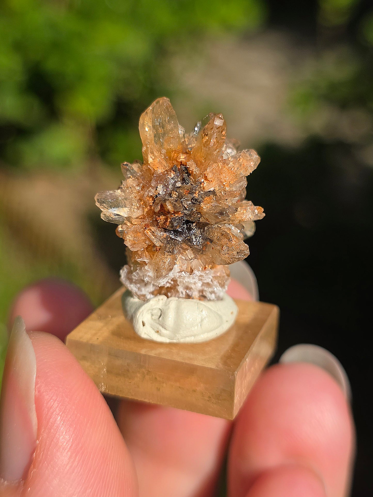 Creedite du Mexique