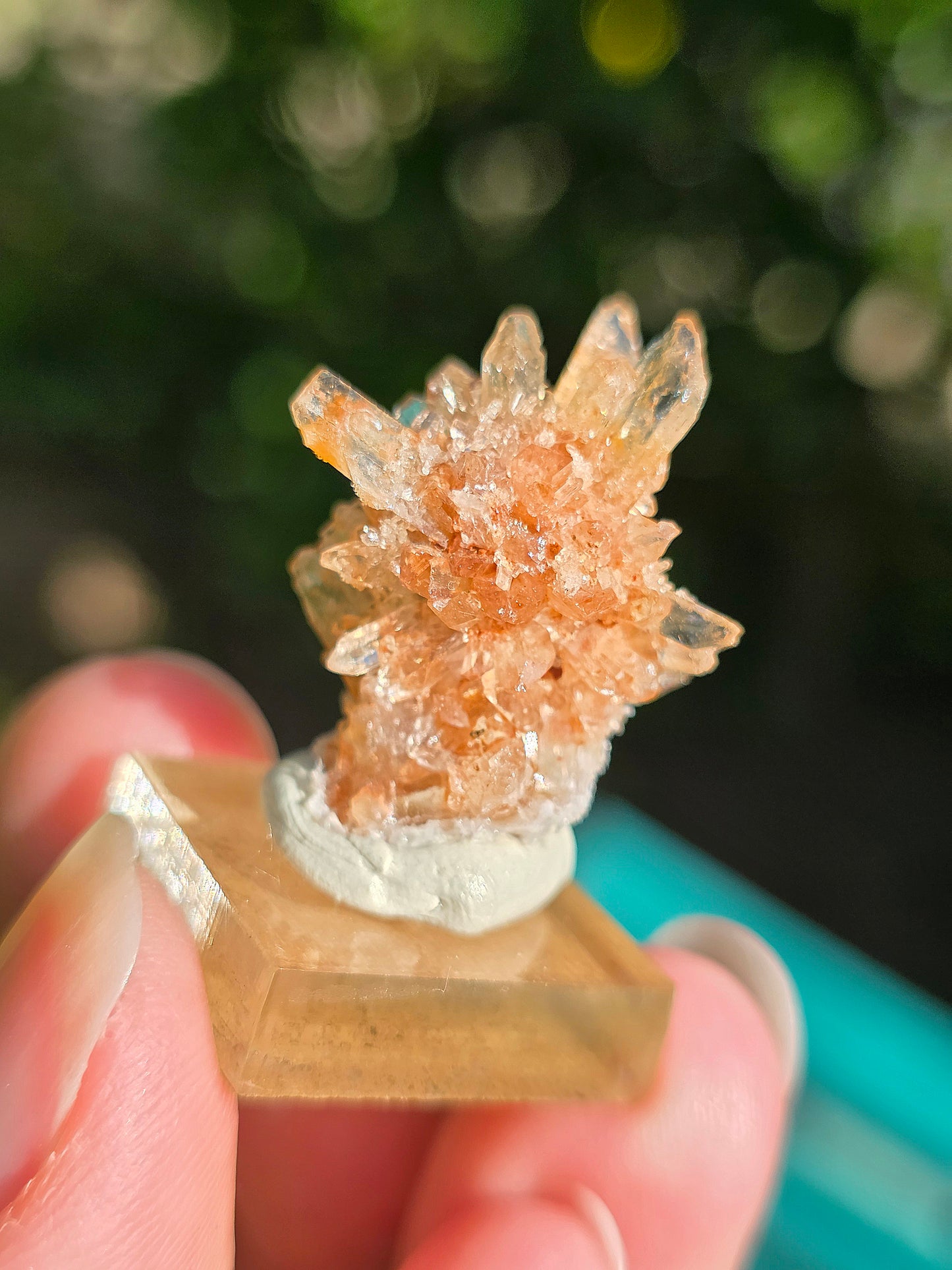 Creedite du Mexique